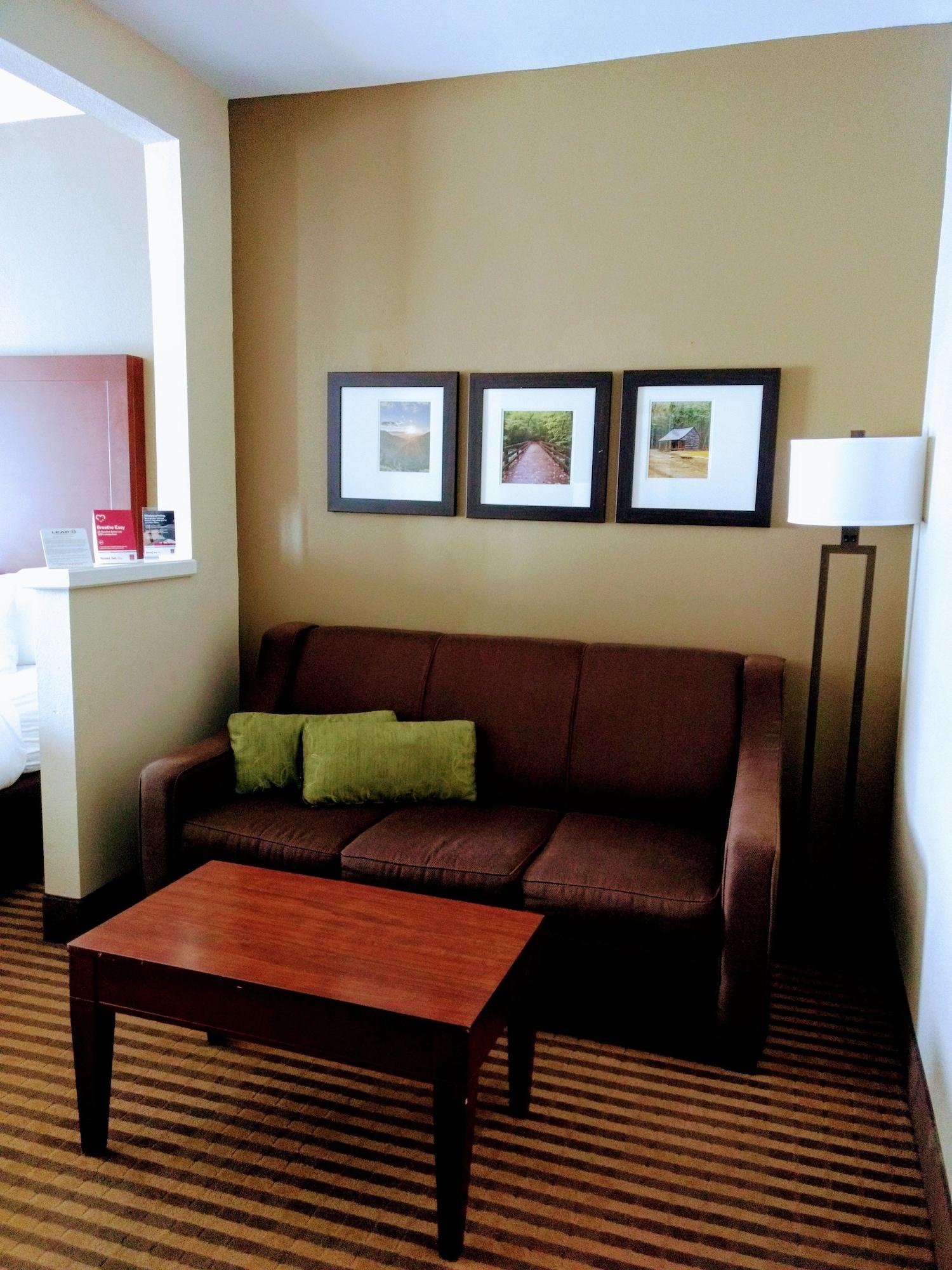 Comfort Suites Johnson City Near University Bagian luar foto